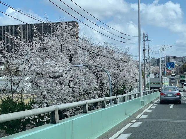 探偵 福岡|浮気調査報告書に関して、昔の投稿から・・・